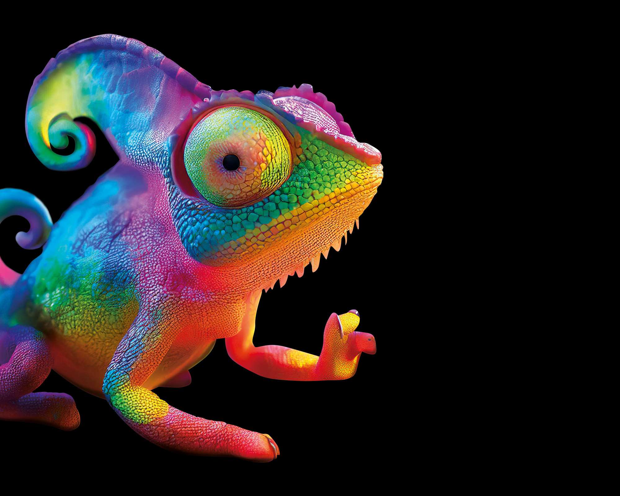 slider_cameleon_1.jpg