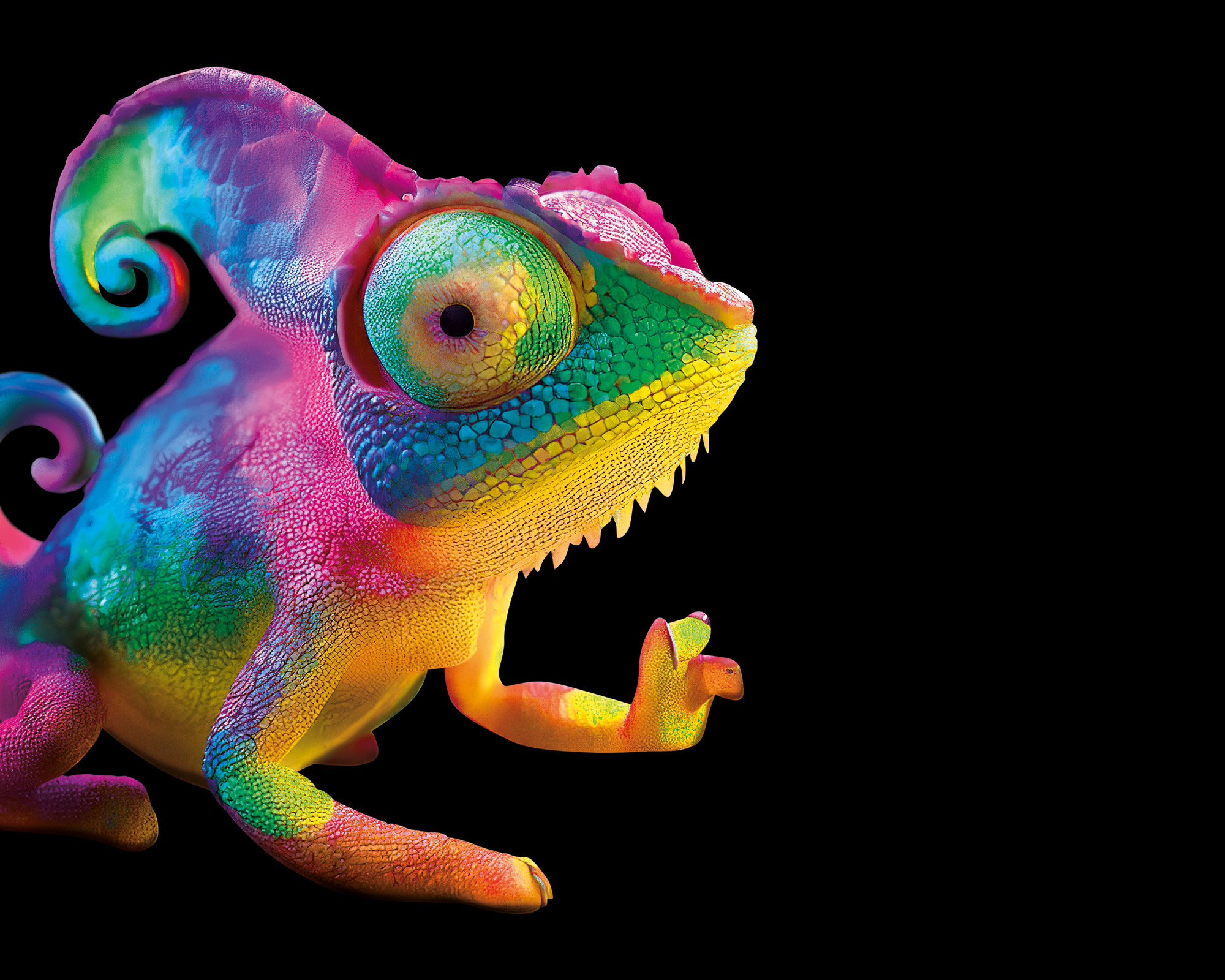 slider_cameleon_2.jpg