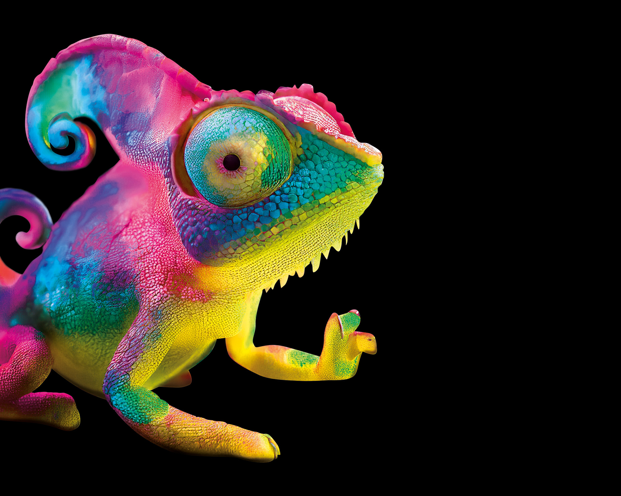slider_cameleon_3.jpg
