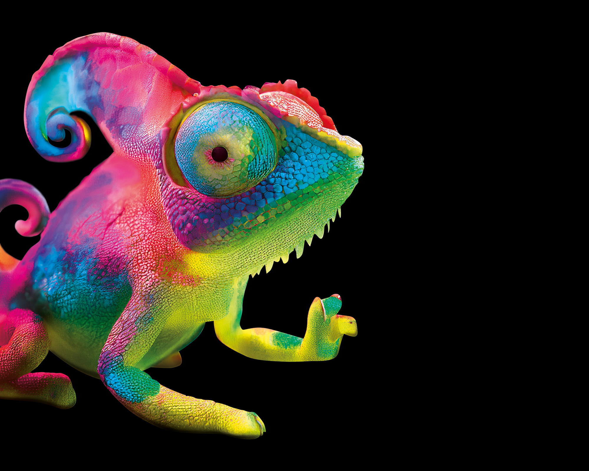slider_cameleon_4.jpg